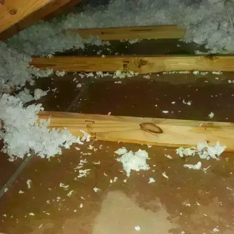 Attic Water Damage in Bailey County, TX