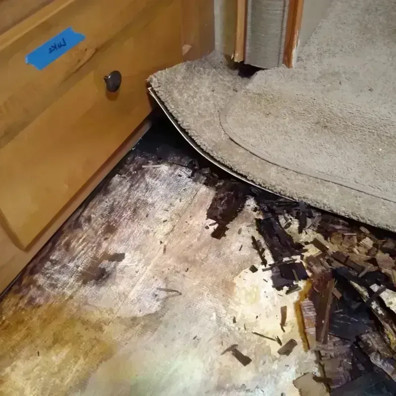 Wood Floor Water Damage in Bailey County, TX